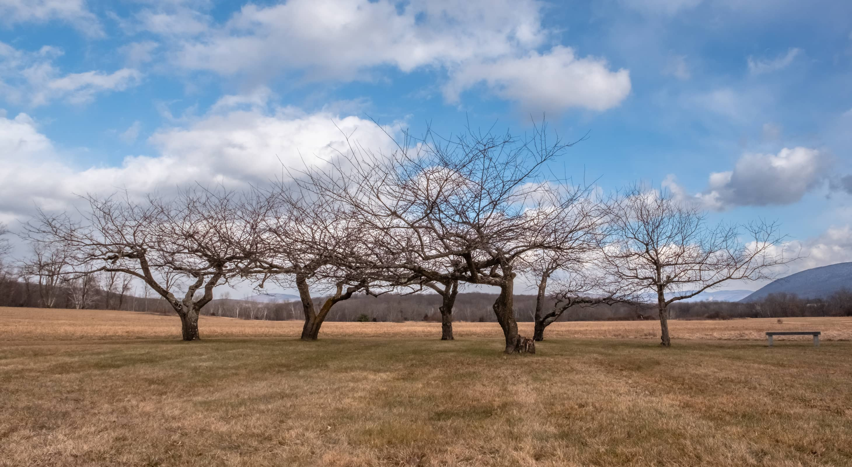 Gorgeous Fall/Winter landscape on the property