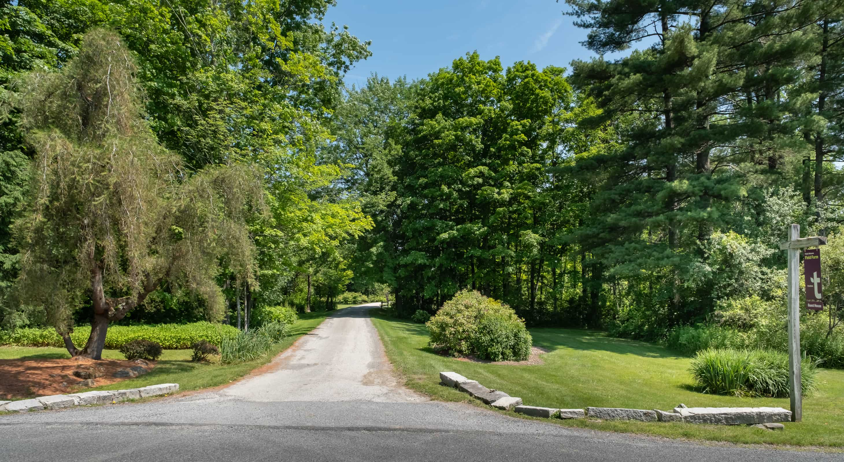 Driveway entrance from the road