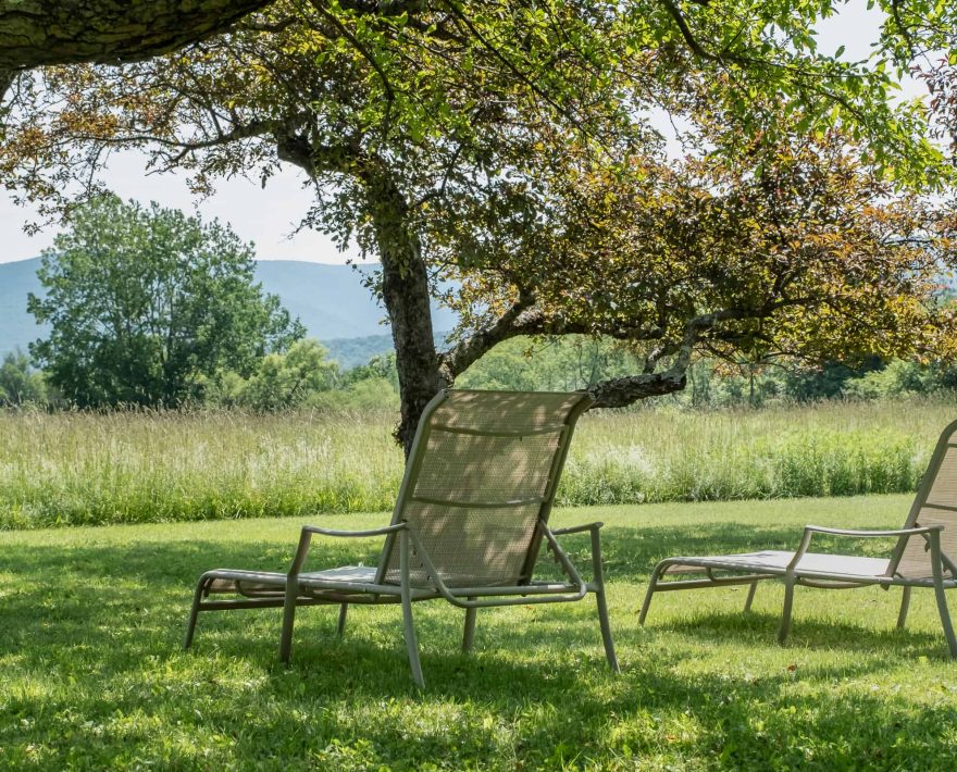 Lawn chairs with a view