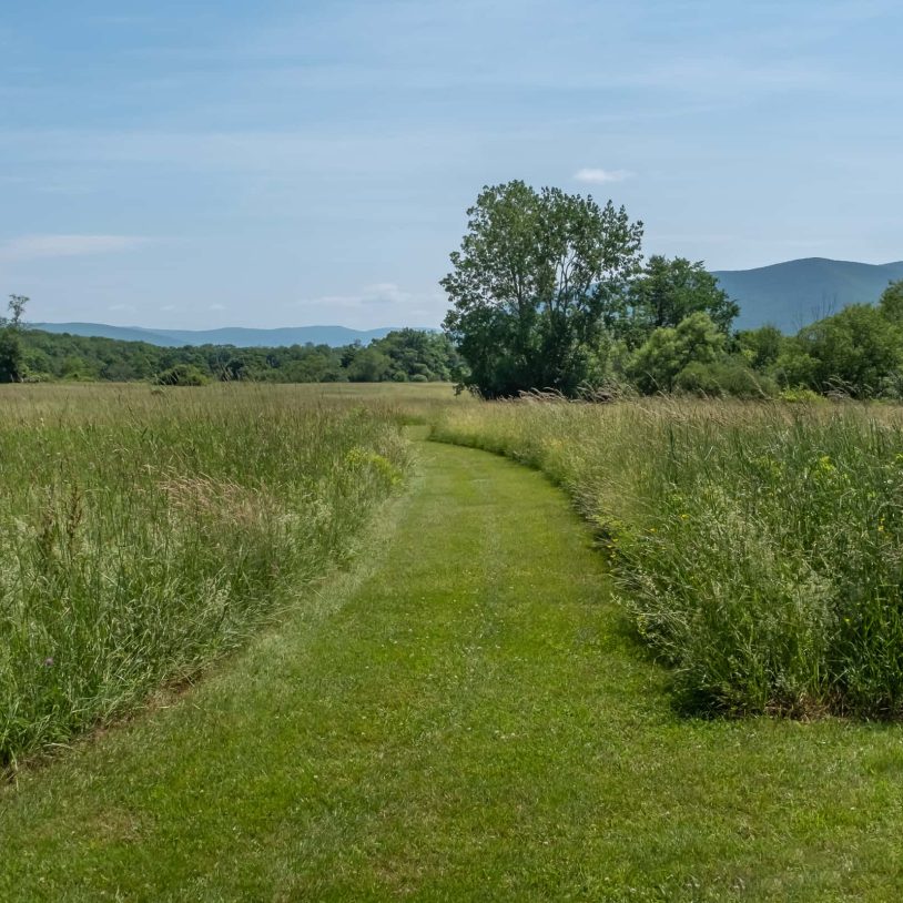 Hiking trail through the meadow of Field Farm