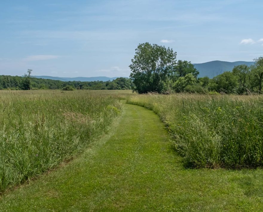 Hiking trail through the meadow of Field Farm