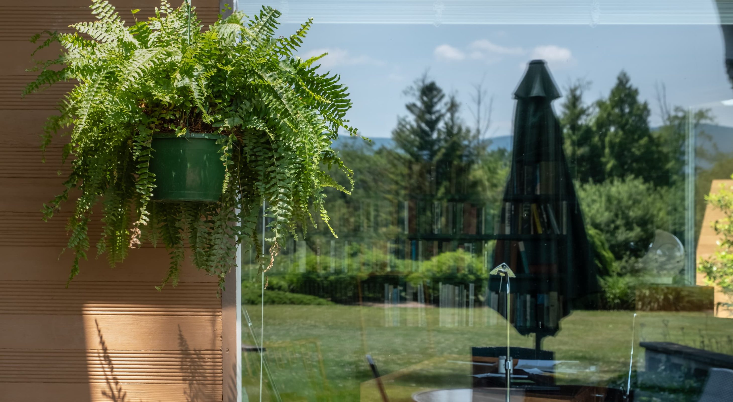 Reflection of landscape in the window with faint bookshelf views inside perfect for Berkshires getaway