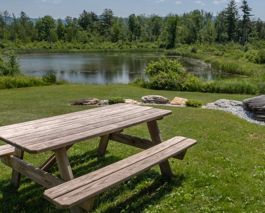 Picnic table by the pond