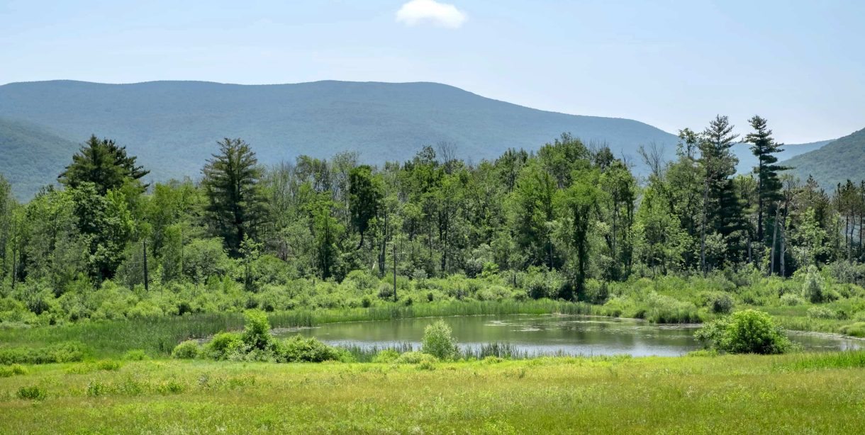 Expansive landscape views of pond and mountains