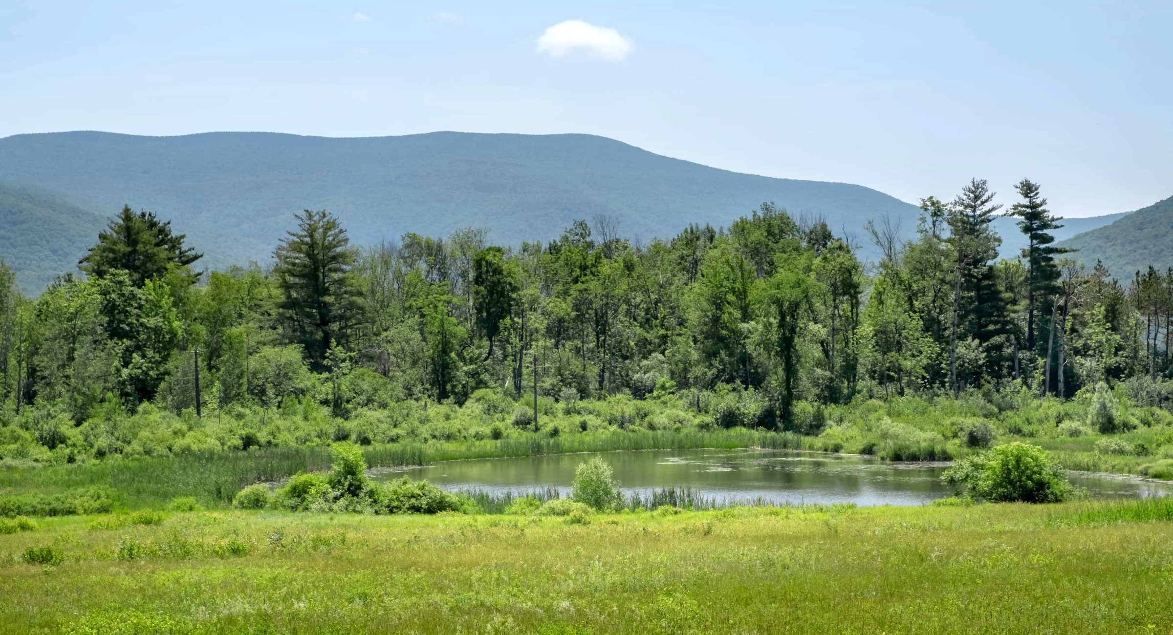 Expansive landscape views of pond and mountains